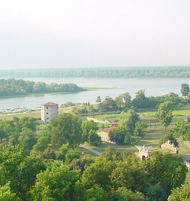 L\'incontro della Sava con il Danubio