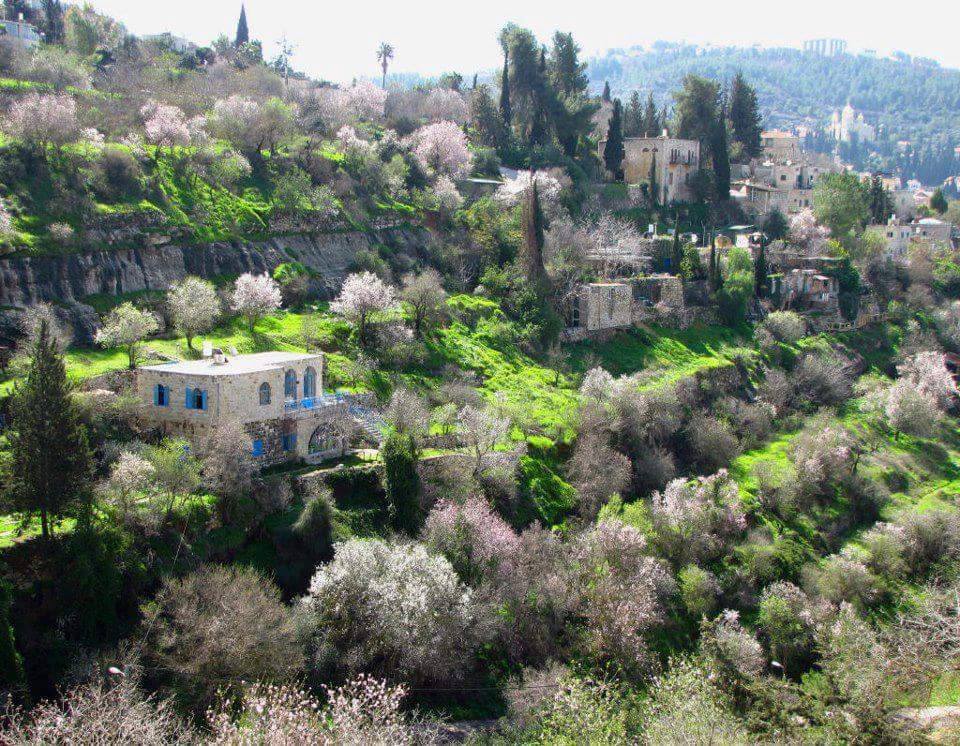 Lifta, Gerusalemme