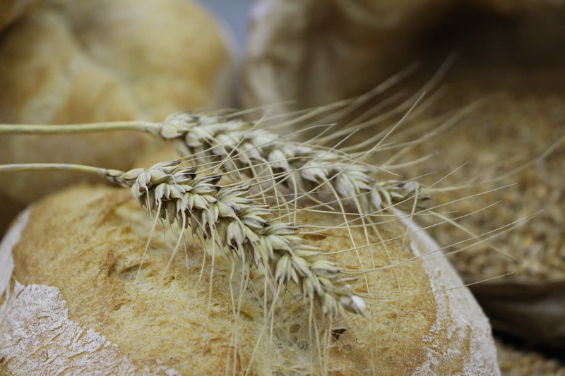 Il pane della Valle dei Laghi, uno dei progetti di rinascita della comunità