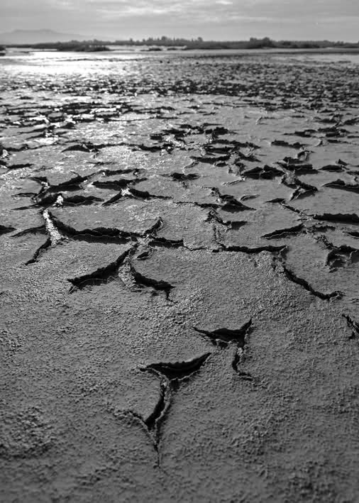 Cambiamenti climatici