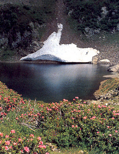 Il lago di Erdemolo