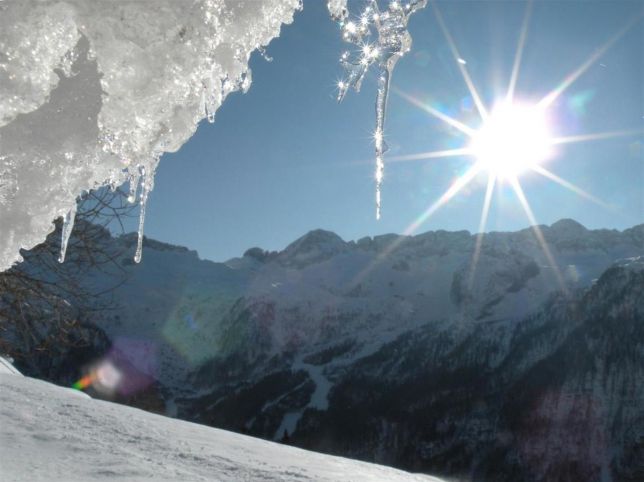 Gli ultimi ghiacciai alpini