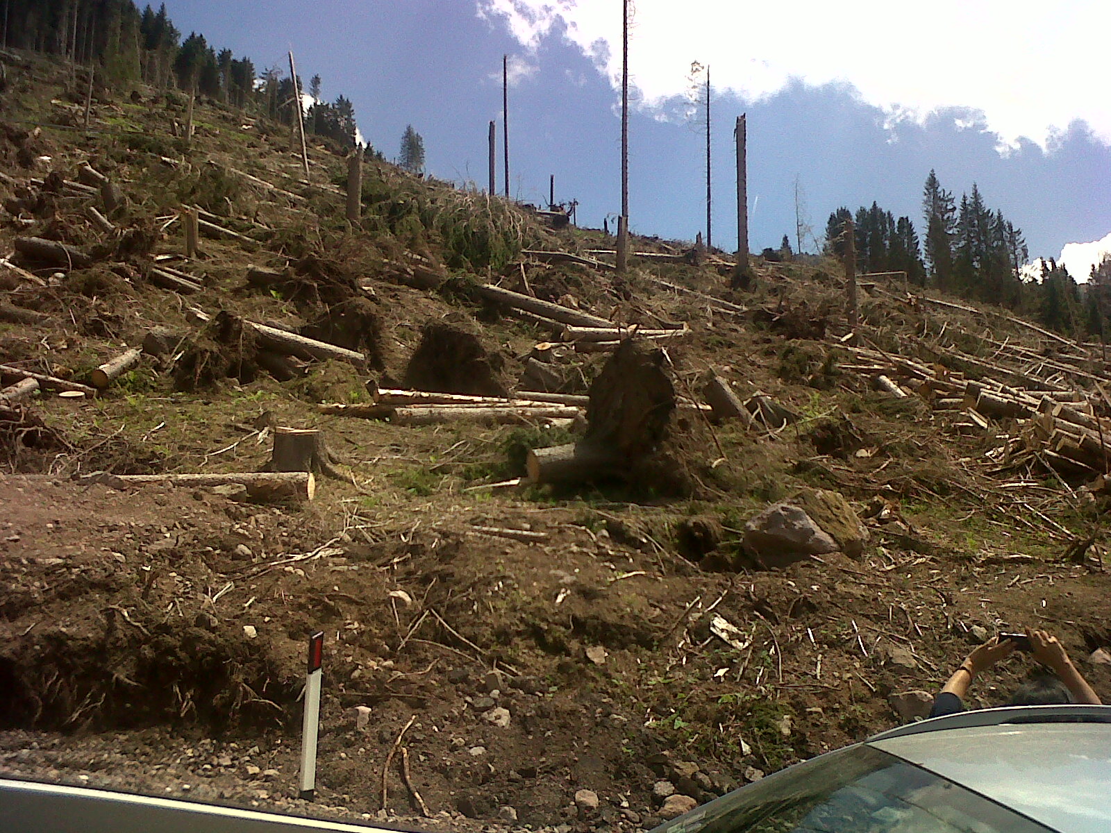 Effetti Vaia in Trentino