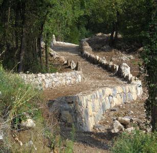 Terrazzamenti in Destra Adige