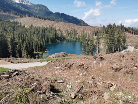 Il lago di Carezza dopo Vaia