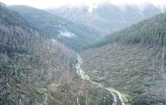 Effetti Vaia nei pressi di Lavarone