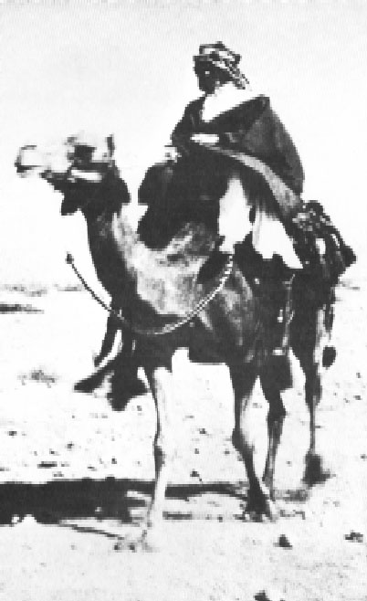 Lawrence d'Arabia