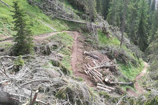 Un'immagine degli effetti di Vaia in Primiero