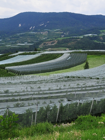 Reti protettive Val di Non