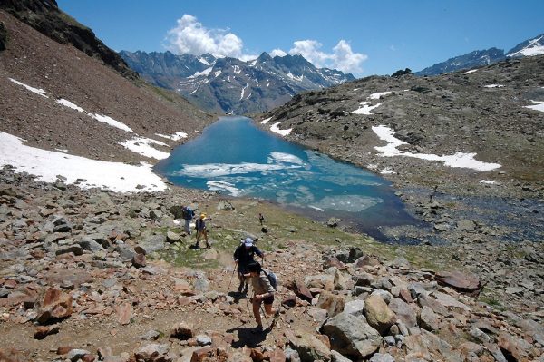 Immagine tratta dal sito di Naturavalp